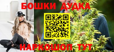 apvp Гусев