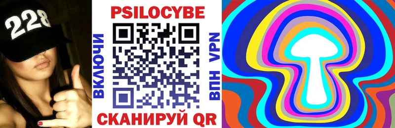 Галлюциногенные грибы Psilocybine cubensis  Краснокаменск 