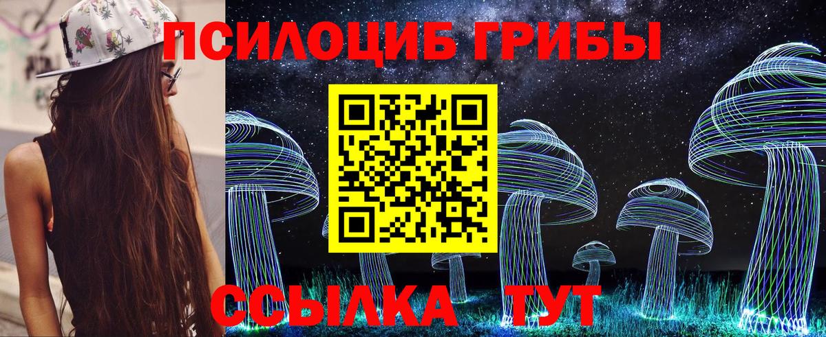 Псилоцибиновые грибы Psilocybine cubensis  Вход с VPN  Краснокаменск 